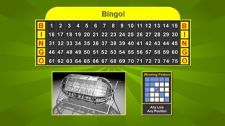 BINGO! Software (Printable Cards, Voice Announcer, Multiple Languages)